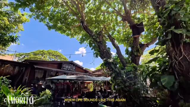 Lush tropical garden exterior at Casa Amorito during daytime